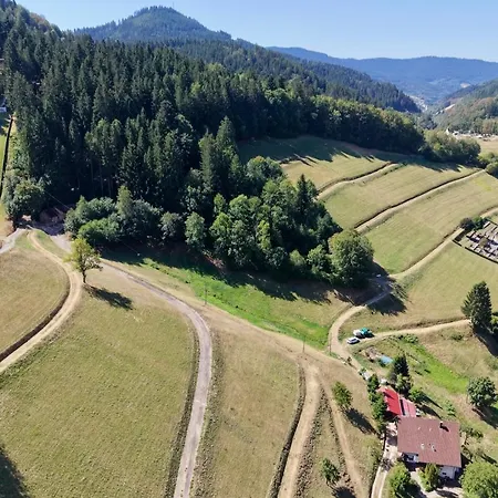 Holiday home Rudi's Dachwohnung, Unterhalb Der Kreuzkopfschanze Bad Peterstal-Griesbach