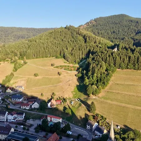 Rudi's Dachwohnung, Unterhalb Der Kreuzkopfschanze Holiday home Bad Peterstal-Griesbach