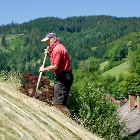 Rudi's Dachwohnung, Unterhalb Der Kreuzkopfschanze Holiday home Bad Peterstal-Griesbach