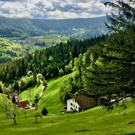 Holiday home Rudi's Dachwohnung, Unterhalb Der Kreuzkopfschanze Bad Peterstal-Griesbach
