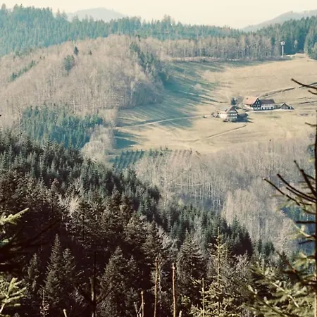 Rudi's Dachwohnung, Unterhalb Der Kreuzkopfschanze Holiday home Bad Peterstal-Griesbach
